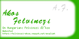 akos felvinczi business card